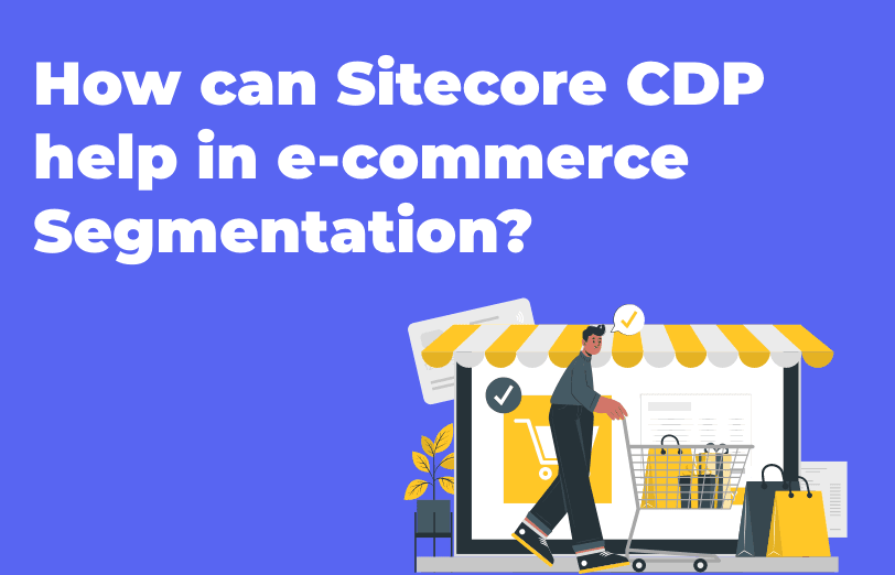 how-can-sitecore-cdp-help-in-e-commerce-segmentation.png