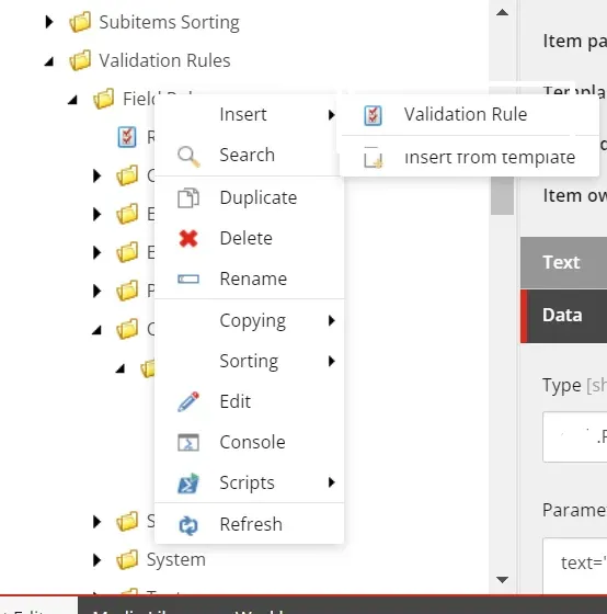 how-to-restrict-value-type-from-field-by-custom-rule-validation-1.webp