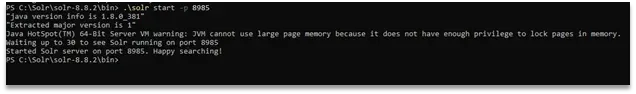 how-to-unlock-solr-index-and-cause-of-index-being-locked-img-1
