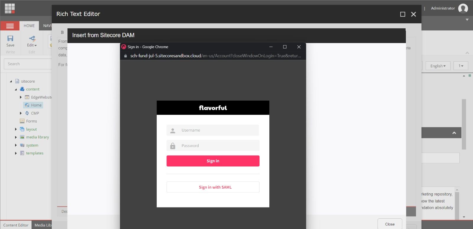 sitecore-content-hub-DAM-setup-and-integration-with-sitecore-10-2-XP-XM-16.png