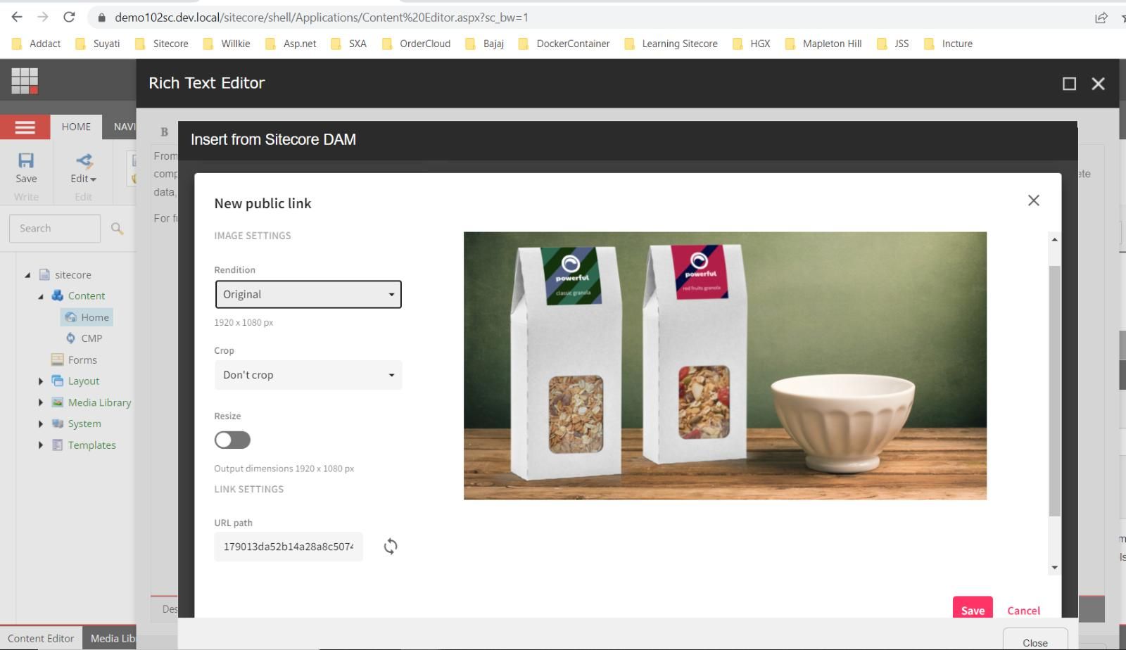 sitecore-content-hub-DAM-setup-and-integration-with-sitecore-10-2-XP-XM-18.png