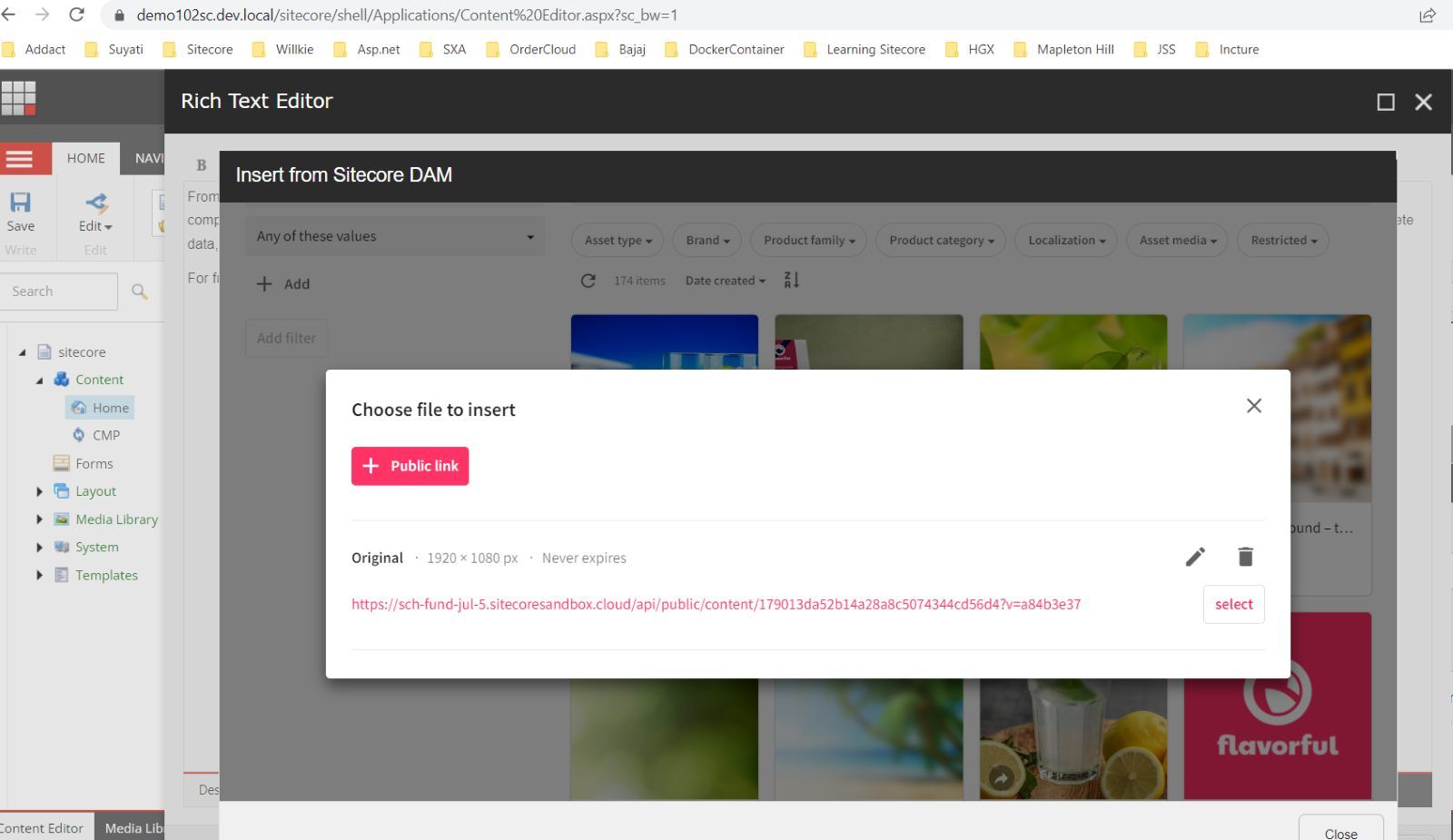 sitecore-content-hub-DAM-setup-and-integration-with-sitecore-10-2-XP-XM-19.png