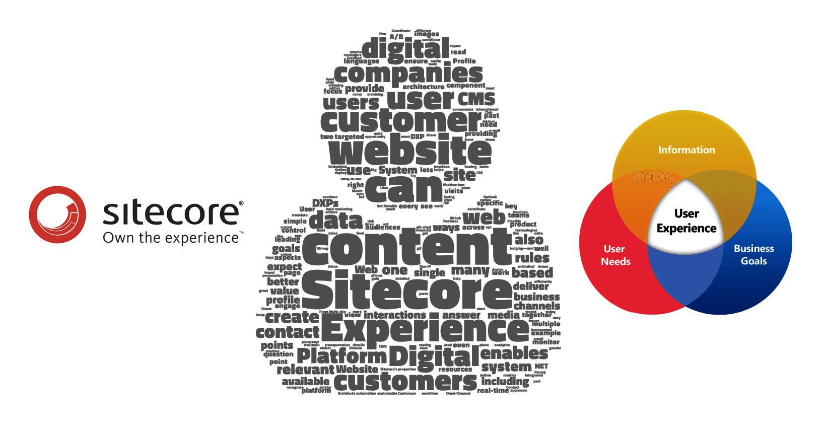 sitecore-how-to-elevate-user-experience-on-your-web-platform-1.png