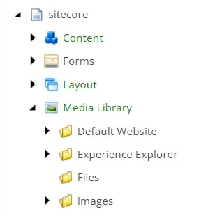 top-3-ways-to-store-media-in-sitecore-media-library-1.webp